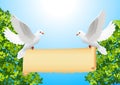 Doves with banner