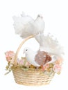 Doves and a basket