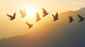 Doves flying sunrise mountain landscape peace Royalty Free Stock Photo