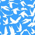 Doves and pigeons seamless pattern on blue background for peace concept and wedding design. Royalty Free Stock Photo