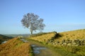 Dovestone Reservoir walking path in the winter sunshine