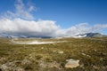 Dovrefjell National Park Royalty Free Stock Photo