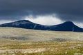 Dovrefjell National Park Royalty Free Stock Photo