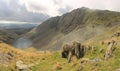 Dow Crag and Goats Water Cumbria Royalty Free Stock Photo