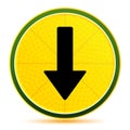 Down arrow icon lemon lime yellow round button illustration