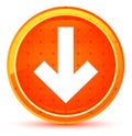 Down arrow icon natural orange round button