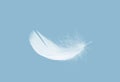 Down Feathers. Soft White Fluffly Feathers Falling in The Air. Floating Feather. Swan Feather on a Blue Background.