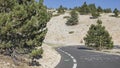 Down hill Mont Ventoux road graffiti Royalty Free Stock Photo