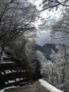 Down hill to shirakawago. Royalty Free Stock Photo