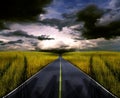 Down the road. Royalty Free Stock Photo