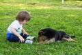 Down syndrome boy playing with his mixed-breed dog in the yard Royalty Free Stock Photo