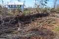 Downed Tree and debris in front of boarded up house