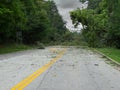 Downed tree on street after major storm in a northeast Ohio town