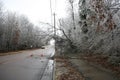 Powerlines disabled by Downed Trees During an Ice Storm