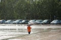 Downfall, rain, weather, natural disaster, rain, child , umbrella, boy, kid