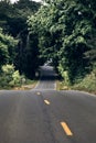 Downhill asphalt road passing through the trees Royalty Free Stock Photo