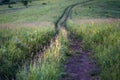 Downhill country dirt road winding in tall grass in Altai Mountains, Kazakhstan, at dusk Royalty Free Stock Photo