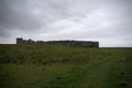 Downhill Demesne a old ruin