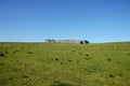 Downhill Demesne