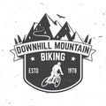 Downhill mountain biking. Vector illustration. Royalty Free Stock Photo