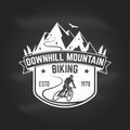 Downhill mountain biking. Vector illustration. Royalty Free Stock Photo