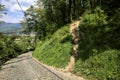 Downhill paved road in a forest forking with a dirt path Royalty Free Stock Photo
