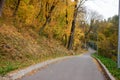 Downhill road in a forest. Royalty Free Stock Photo