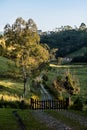 Downhill rocky pathway leading to wooden gate, forest in backgro Royalty Free Stock Photo