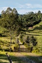 Downhill rocky pathway leading to wooden gate, forest in backgro Royalty Free Stock Photo