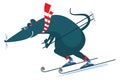 Downhill skier rat or mouse illustration