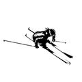 Downhill skier, slalom. Aerial view. Isolated vector silhouette. Winter sport, alpine skiing Royalty Free Stock Photo