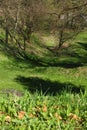 Downhill view from castle Dubovac in early spring