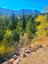 Downhill view of Colorado mountainside