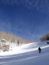 Downhill woman skier