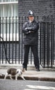 10 Downing Street Chief Mouser cat Royalty Free Stock Photo