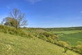 Downland Landscape of South West England Royalty Free Stock Photo