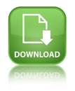 Download (document icon) special soft green square button Royalty Free Stock Photo