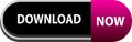 Download now button on white background color design Royalty Free Stock Photo