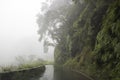 Downpour Rain on Narrow Road during Tropical Storm in Maui Hawaii Royalty Free Stock Photo