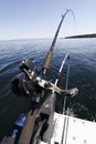 Downrigger fishing rod and reel