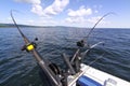 Downrigger fishing rods for salmon, lake trout