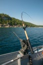 Downrigging fishing rod on Bruce Peninsula shoreline