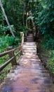 Downstairs steep wooden staircases