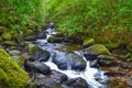 Downstream of the famous Torc Waterfall in the beautiful Killarney National Park, Kerry, Ireland Royalty Free Stock Photo