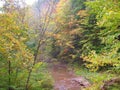 Downstream West Virginia Big Creek fall afternoon Royalty Free Stock Photo