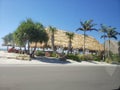 Florida Beach Roadside Palmtree Landscape Royalty Free Stock Photo