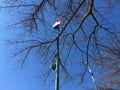 Downtown Atlanta Centennial olympic park tree and flags Royalty Free Stock Photo