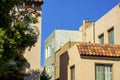 Downtown buildings with beige and cream exterior color with front yard trees in urban area of american city