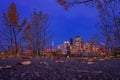 Downtown Calgary Framed By Autumn Leaves Royalty Free Stock Photo