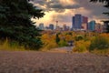 Downtown Calgary Framed By Autumn Trees Royalty Free Stock Photo
